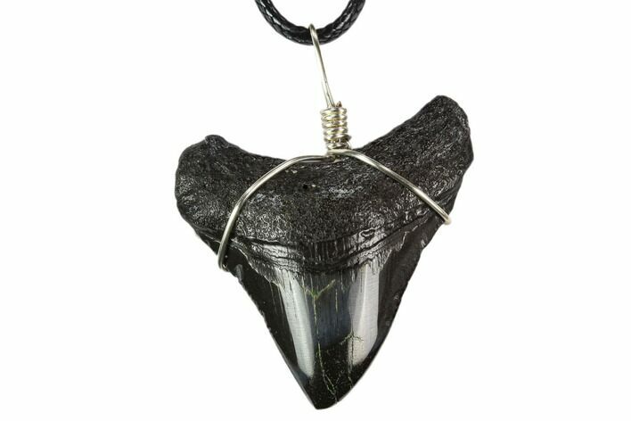 Fossil Megalodon Tooth Necklace #130374